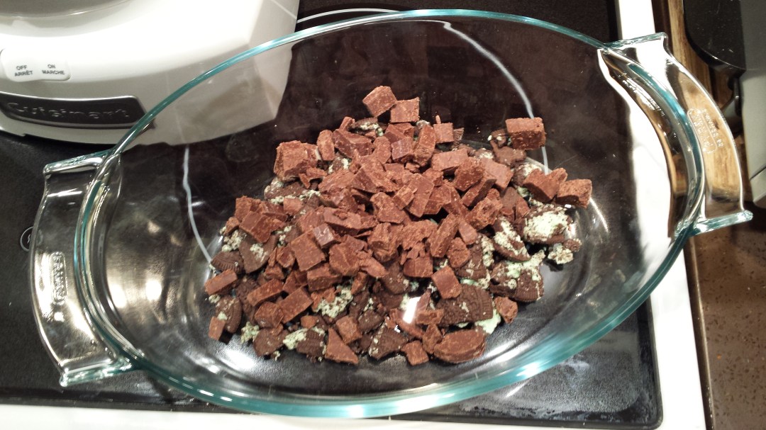 20170302_065548-copy