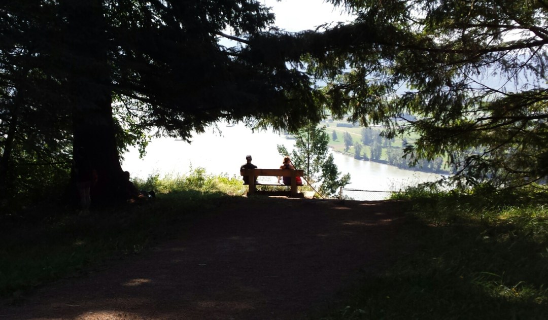 20170716_134801 copy.jpg