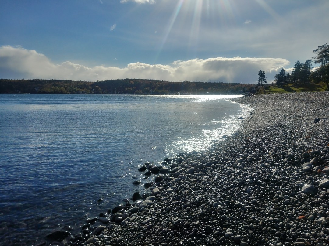 20181018_152800_HDR_resized copy.jpg