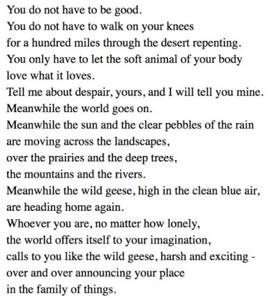 mary oliver.jpeg