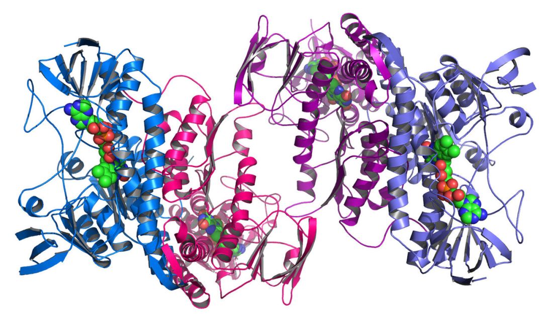 1280px-Argonne's_Midwest_Center_for_Structural_Genomics_deposits_1,000th_protein_structure.jpg