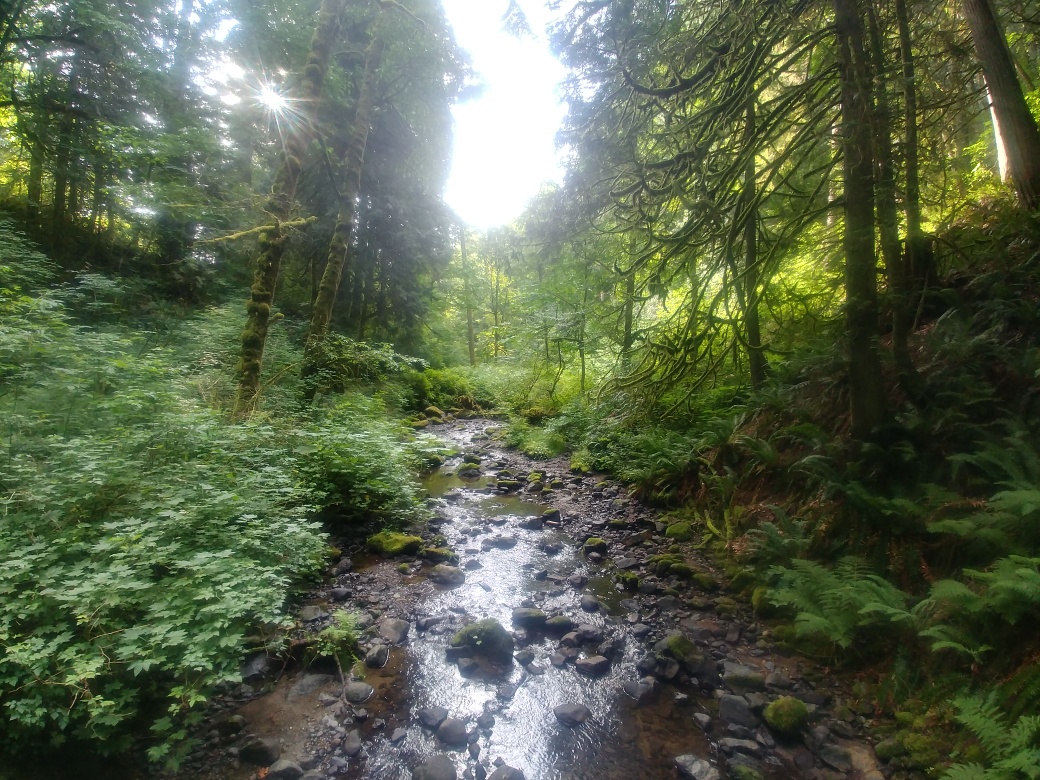 20190706_082338_HDR_resized