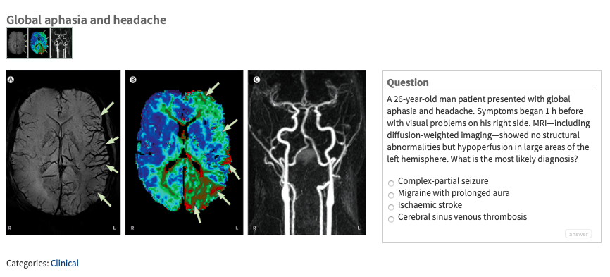 Screen Shot 2020-09-01 at 10.28.23 AM.png