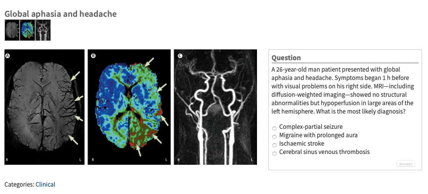 Screen Shot 2020-09-01 at 10.28.23 AM.png